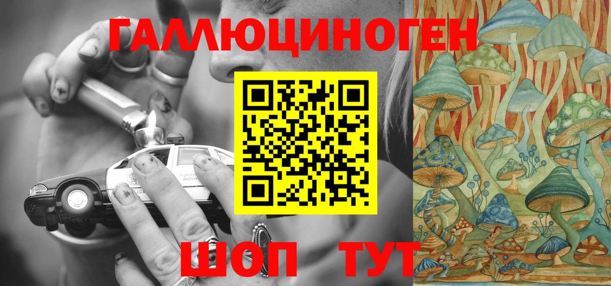 Галлюциногенные грибы MAGIC MUSHROOMS  как найти закладки  Галлюциногенные грибы Psilocybine cubensis  Ярцево  Вход с VPN 